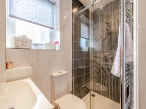 a bathroom with a toilet and a shower and a sink at Brittons Hill Cottage in Wavehorne