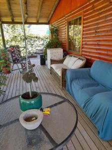 eine Veranda mit einer blauen Couch und einer Topfpflanze in der Unterkunft Casa de campo Santa Cruz in Palmilla