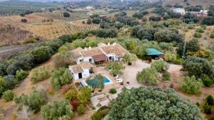 widok z lotu ptaka na dom z basenem w obiekcie La Mejorana Refugio andaluz con piscina entre olivos w mieście Villanueva de Tapia