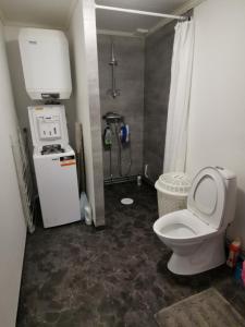 a small bathroom with a toilet and a sink at Tofta Konstgalleri-Familjelägenhet in Varberg