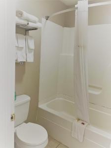 a white bathroom with a toilet and a shower at Super 8 by Wyndham Picayune in Picayune
