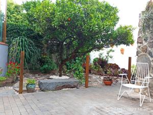 Zahrada ubytování Casa Magali + 21 fotografií