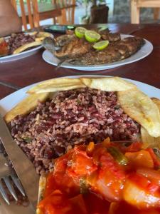 Gallery image of Playa Casa Nohelia in Santo Domingo