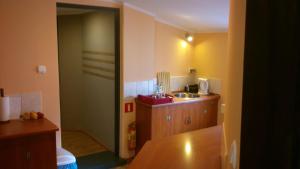 Kuchyň nebo kuchyňský kout v ubytování Hostel Imbir + 21 fotografií