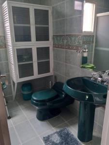 een badkamer met een groen toilet en een wastafel bij CALIFORNIA SUITE in Caracas