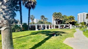 un parque con palmeras y un edificio blanco en Oceanic Playa La Serena, en La Serena