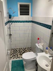 łazienka z toaletą i umywalką w obiekcie MAHOGANY w mieście Le Vauclin