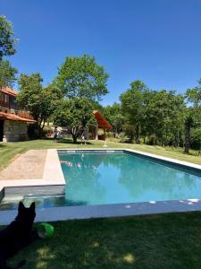 a cat laying on the grass next to a swimming pool at Vila Lagar in Bustelo