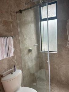 La salle de bains est pourvue de toilettes et d'une douche en verre. dans l'établissement Magnifico apartamento, à Moniquirá