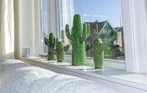 a group of cactus sitting on a window sill at Nautilus 1 in Bergen aan Zee