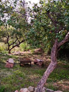 un parque con un banco y un árbol y rocas en Cabaña Santa Rita - Tilcara en Tilcara