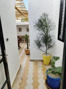 a hallway with two potted plants on the floor at Desert Home Essaouira in Essaouira