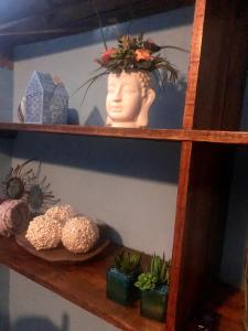 Une étagère avec des plantes et une statue sur elle dans l'établissement Cuarto azul, à Ciudad Valles