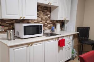 eine Küchentheke mit Mikrowelle und Spüle in der Unterkunft Chesskings Guest House - Unit 2 in Winnipeg
