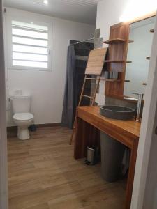 a bathroom with a sink and a toilet at Appartement neuf et tout confort sur la Trinité in La Trinité