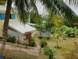 widok na dom z palmą w obiekcie Appartement neuf et tout confort sur la Trinité w mieście La Trinité