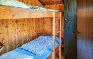 ein Schlafzimmer mit einem Etagenbett in einem Holzzimmer in der Unterkunft Nice Home In Anholt With Kitchen in Anholt