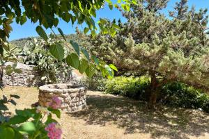 Κήπος έξω από το Maison de maitre au charme d'antan Bonifacio