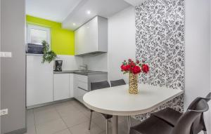 Cuisine ou kitchenette dans l'établissement Beautiful Apartment In Njivice With Kitchen