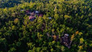 una vista aérea de una casa en medio de un bosque en Atremaru Jungle Retreat en Puerto Princesa