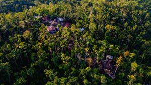 an aerial view of a house in the middle of a forest at Atremaru Jungle Retreat in Puerto Princesa City