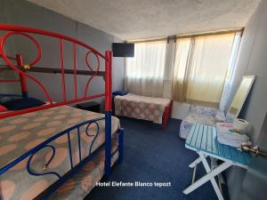 HOSTAL DEL ELEFANTE في تيبوزتلان: غرفة نوم بسريرين بطابقين وطاولة