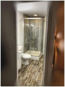 La salle de bains est pourvue de toilettes et d'une douche en verre. dans l'établissement WildGlampingArieseni, à Arieşeni