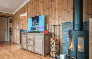 a living room with a fireplace and a stove at Beautiful Home In Engerdal With Kitchen 