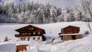 two wooden buildings in a snow covered field at Känzeli - Ferienwohnung mit Traumaussicht in Beatenberg