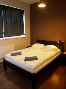 Una cama o camas en una habitación de Glūdas Grava