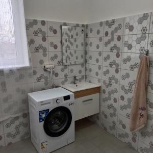 een badkamer met een wasmachine en een wastafel bij Gradina de Vara Sulina in Sulina