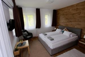 um quarto com uma cama, uma cadeira e uma televisão em Villa Terrasse em Eger