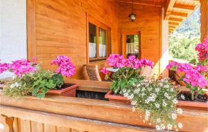 una veranda con fiori in vaso su una casa di Gemuetliche Ferienwohnung a Dalaas