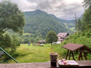 a coffee cup sitting on a table with a view of a mountain at Casa de vacanta Satic Piatra Craiului La Doi viermi in Satic