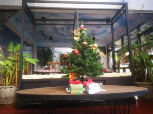 Vlodge House في شيانغ ماي: شجرة عيد الميلاد صغيرة على طاولة مع هدايا