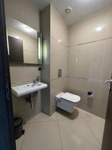 a bathroom with a toilet and a sink at Forest View Silver M B34 Poiana Brasov in Poiana Brasov