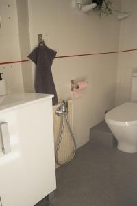 a bathroom with a toilet and a shower in it at Casa Carmelina in Torrevieja