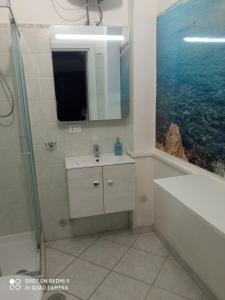 uma casa de banho com um lavatório, um chuveiro e um espelho. em Al Vicolo em Gaeta