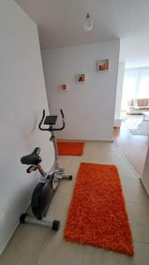 Habitación con bicicleta estática y alfombras naranjas en Street C apartment nr 1, en Pristina