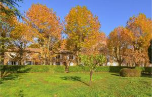 a garden in front of a house with trees at Amazing Apartment In Rustrel With Outdoor Swimming Pool, Wifi And 2 Bedrooms in Rustrel