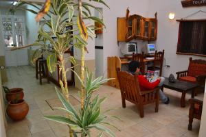 a young boy sitting in a chair next to a plant at La Salamanca in Salta