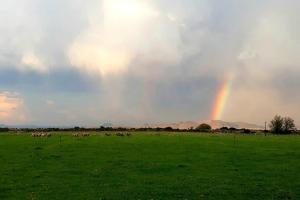 Galeriebild der Unterkunft Southfield Cottage in Middelburg