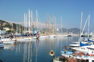 a bunch of boats are docked in a harbor at House in Caramagna in Imperia