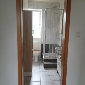 a bathroom with a toilet and a shower and a sink at Das Düsselapartment in Haan