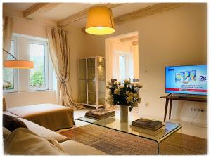 TV a/nebo společenská místnost v ubytování Sazava River Apartment