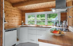 Η κουζίνα ή μικρή κουζίνα στο Stunning Home In Skibby With Wifi