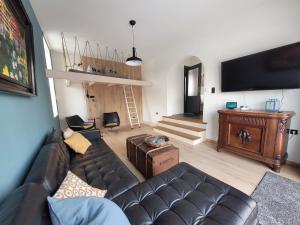 a living room with a leather couch and a tv at Hillehof Ostrau in Bad Schandau