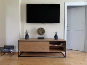 TV a/nebo společenská místnost v ubytování Mountainview Apartment Scheurer
