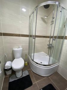 a bathroom with a toilet and a shower at Коттедж Чок-Тал Цо Париж 2 in Chok-Tal