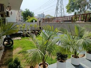 a garden with palm trees in pots on a balcony at Nearmi Hotels Banquets Medanta IKEA Sector 47 - Gurugram in Gurgaon